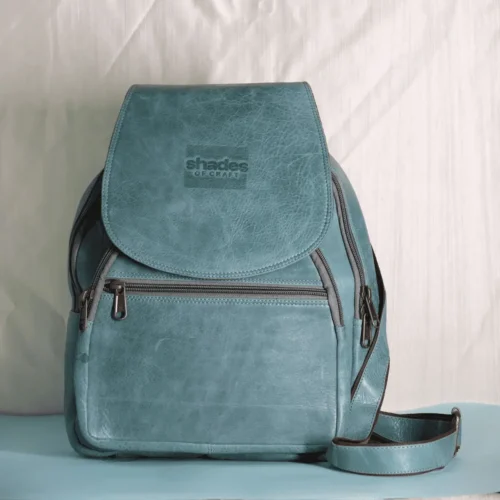 College leather backpack